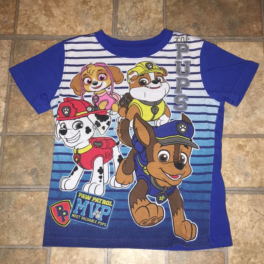 Nickelodeon blue paw patrol